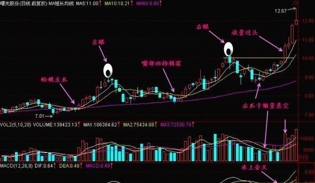 澳门今晚必开一肖一特,稳定性方案解析_顶级版17.818