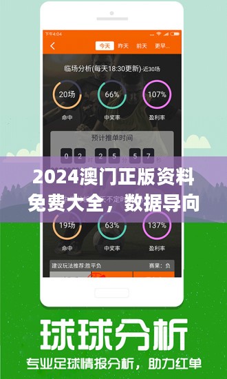 2024新澳门王中王正版,灵活实施计划_定制版48.28