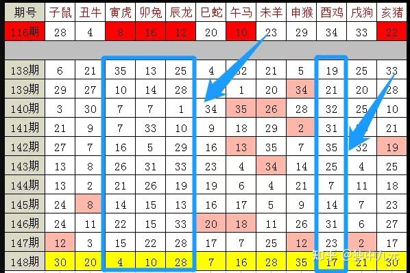 2024十二生肖49个码,实地调研解释定义_WP144.766