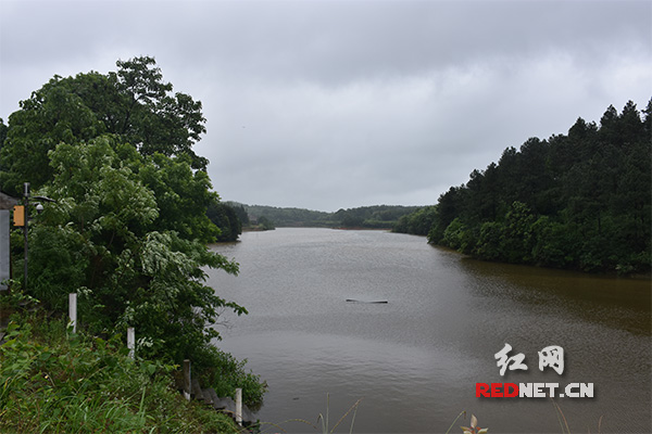 益阳鱼形山最新动态概况