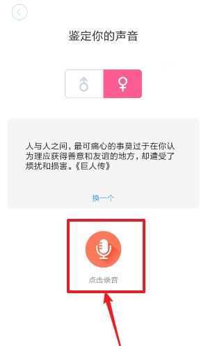 在线鉴音，重塑音乐体验的新利器