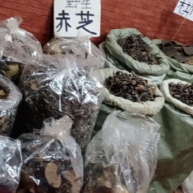 最新中药材求购信息与市场趋势深度解析