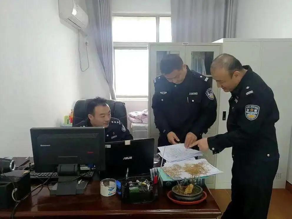 警惕最新诈骗金额，防范未然，警钟长鸣