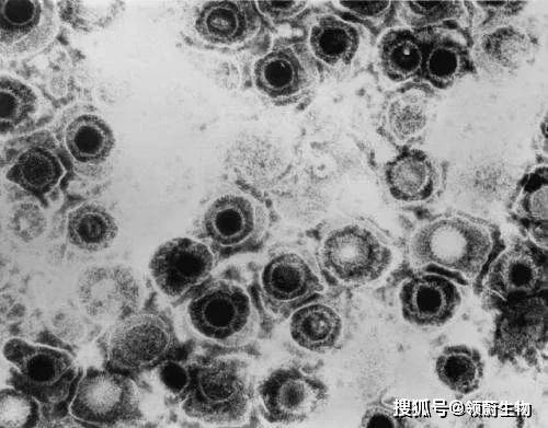 洞洞法最新探索与实践成果分享