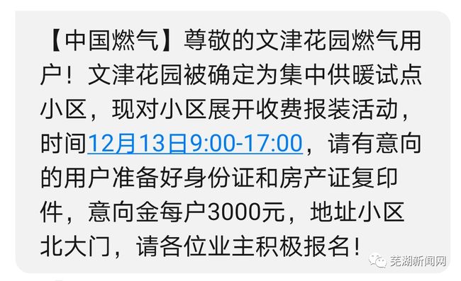 最新温情瞬间，温暖人心的瞬间与希望之花盛开