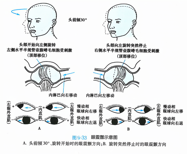 眼震最新研究进展及其临床应用概述