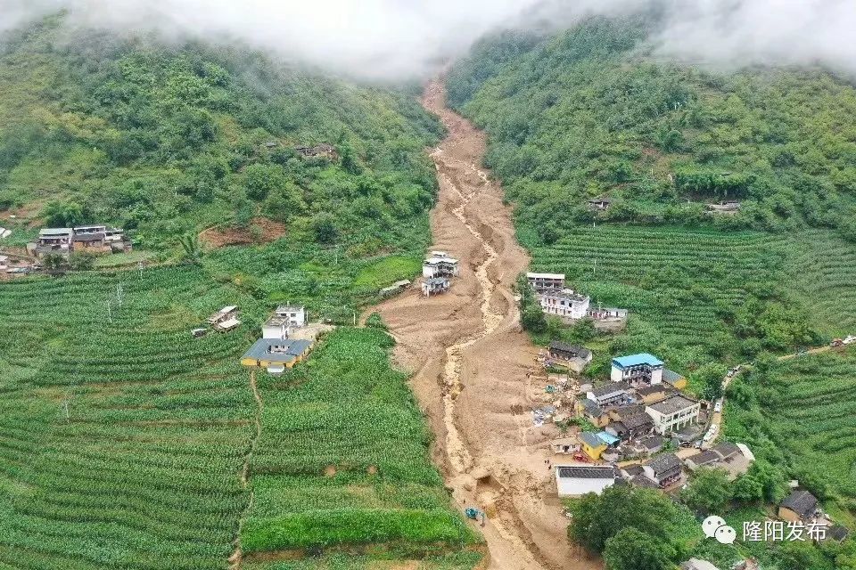 远离色情内容，了解最新番剧资讯，保山动态文章标题分享