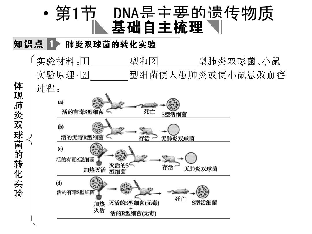 基因探索新发现，揭示生命起源的奥秘